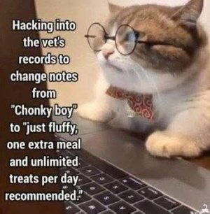 FB_IMG_1757593105136.jpg