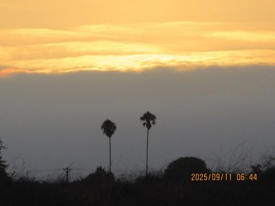 IMG_1346.JPG
