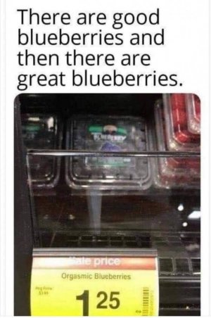 food4.jpg