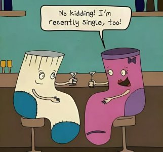 a sock cartoon.jpg