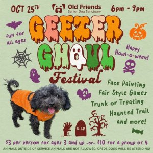 geezer festival.jpg