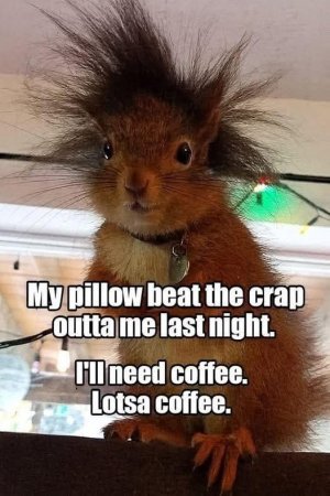 FB_IMG_1757591130019.jpg