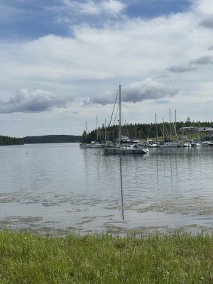 IMG_0421.jpeg