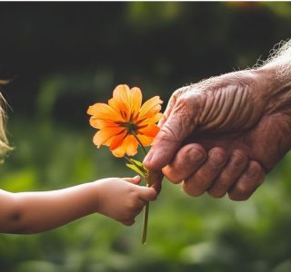 childflower.JPG