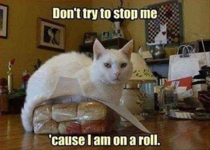 FB_IMG_1757692981274.jpg