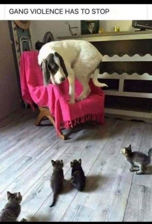FB_IMG_1757702063999.jpg