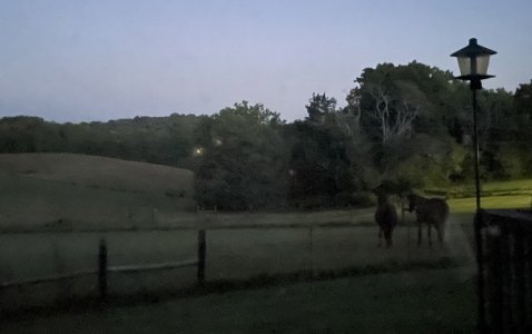 IMG_2622.jpeg