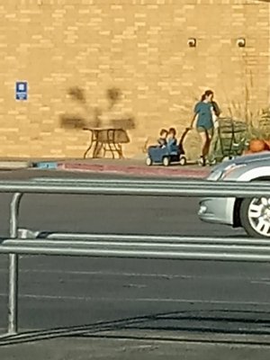 20250913_083822.jpg