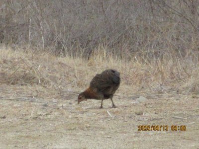 IMG_1417.JPG