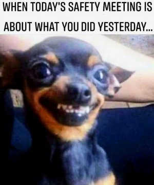 FB_IMG_1757591089248.jpg