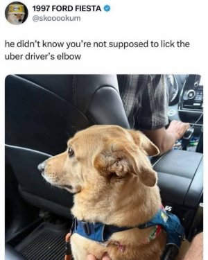 FB_IMG_1757431595183.jpg