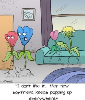 cartoon1 09 13 25.jpg
