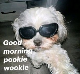 good morning pookie wookie.jpg