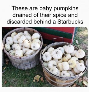 gen3.jpg