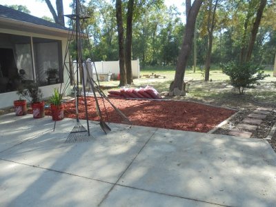 ex-compost site.JPG