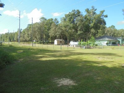 yard left.JPG