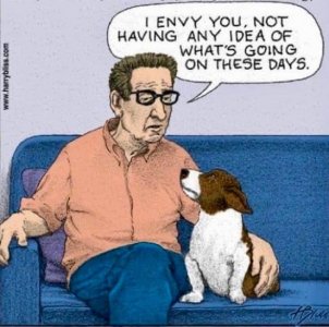 envy.jpeg