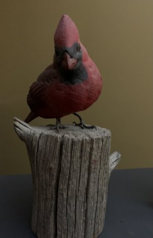 IMG_8001.jpeg