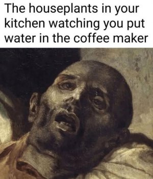 547747210_720556221040944_8056002580168474486_n.jpg