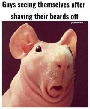 a guys shaving funny.jpg