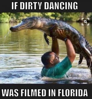 a dirty dancing alligator funny.jpg