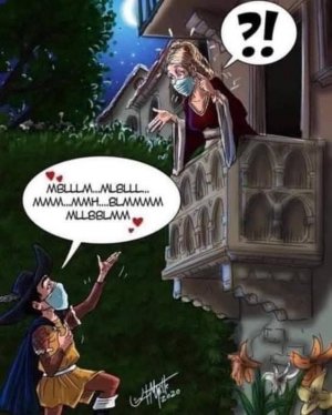 IMG_2740.jpeg