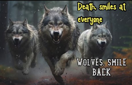 snarling-wolves.jpg