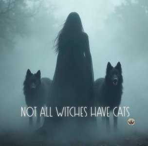 not.all.witches.have.cats.jpg