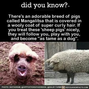 FB_IMG_1757870571220.jpg