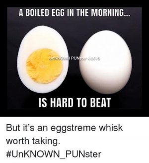IMG_2700.jpeg
