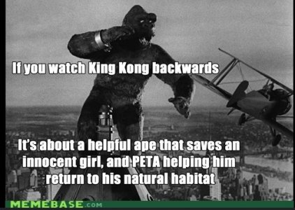 hwraa.jpg