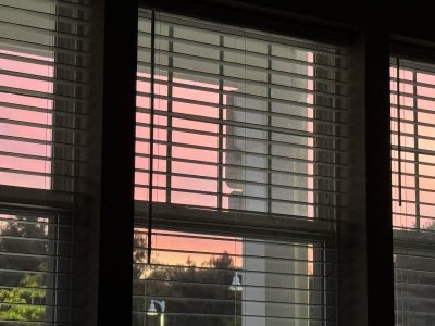 IMG_1090.jpeg