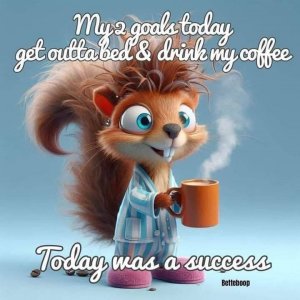 a coffee success squirrel.jpg