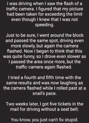 a just can't fix stupid joke.jpg