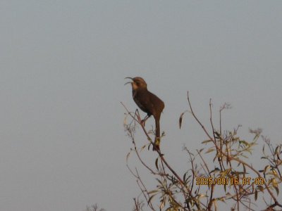 IMG_1494.JPG
