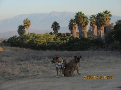 IMG_1493.JPG