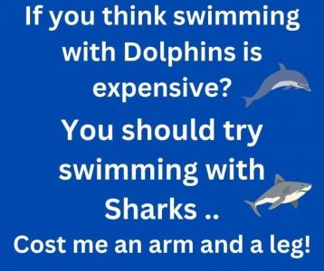FB_IMG_1758063794095.jpg