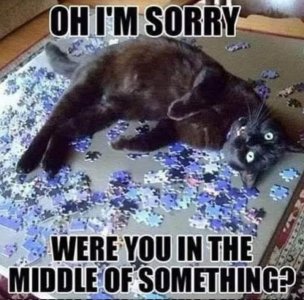 FB_IMG_1758063396155.jpg