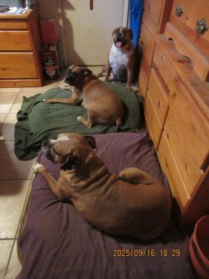 2025-09-16 my pack.jpg