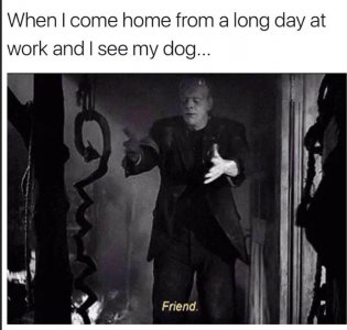 3366.jpg