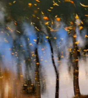 autumn-daze-abstract-reflection-steven-milner.jpg