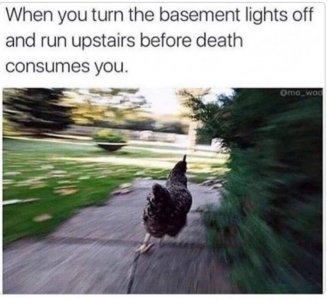 FB_IMG_1758130729008.jpg