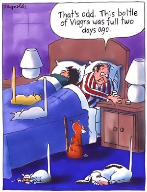 FB_IMG_1758130530233.jpg