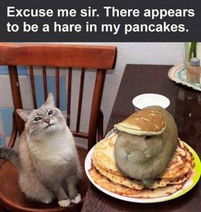 8EC80EEA-6763-49AF-BD5D-3ECAA13CDA5F.jpeg
