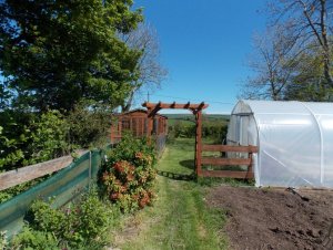 garden in may.JPG