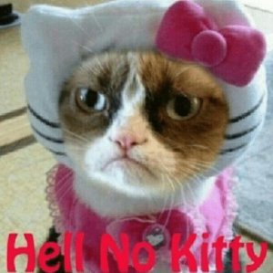 hell-no-kitty-cushm-25493766 (2).jpg