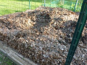 garden hole (800x600).jpg