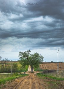B8810753-F3B9-4B70-8825-372E57A14630.jpeg