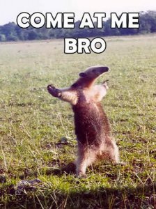 Come-at-me-Bro-meme-9.jpg