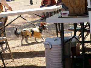 IMG_0301.JPG